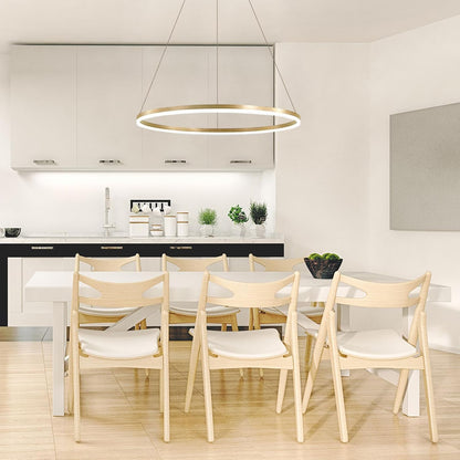 Závesný LED luster, ANINA, 34W, 1 kruh, Priemer 50 cm, Studené/Teplé/Neutrálne svetlo 3000K/4000K/6000K, Stmievateľné, Lesklá zlatá biela, Nastaviteľná výška, Kovové a akrylové LED Lustre s diaľkovým ovládaním Predvolený názov Dizajn Alessandro