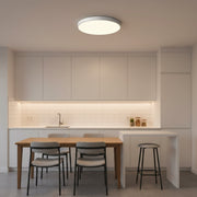 LED stropné svietidlo SOLIS 37cm 33W Cool White Light