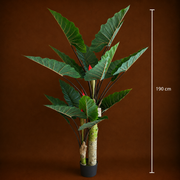 Plantă Artificială Tip Alocasia Cu Frunze Late, 2 trunchiuri, 190 cm, Verde