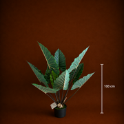 Plantă Artificială Tip Alocasia Cu Frunze Late, 100 cm, Verde
