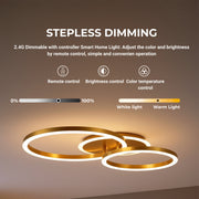 Lustra LED cu telecomanda RINOVA 66W, 2 Cercuri, lumina Rece/Calda/Neutra, Dimabila, Auriu Lucios Lustre LED cu Telecomanda Default Title Alessandro Design