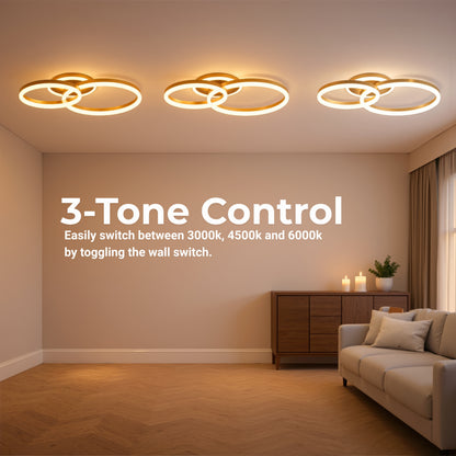 Lustra LED cu telecomanda RINOVA 66W, 2 Cercuri, lumina Rece/Calda/Neutra, Dimabila, Auriu Lucios Lustre LED cu Telecomanda Default Title Alessandro Design