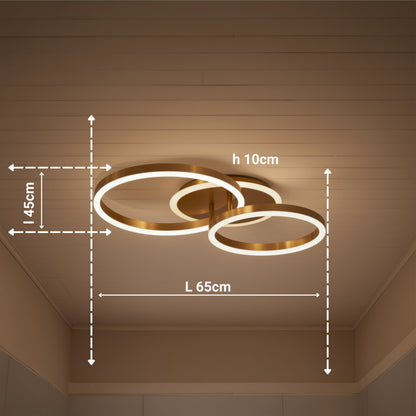Lustra LED cu telecomanda RINOVA 66W, 2 Cercuri, lumina Rece/Calda/Neutra, Dimabila, Auriu Lucios Lustre LED cu Telecomanda Default Title Alessandro Design