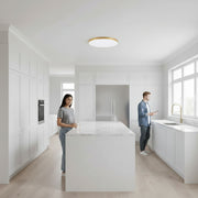 LED stropné svietidlo SOLIS 47cm 48W Cold Light Gold