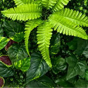 Planta Artificială Panou de Gard Viu Mix Frunze de Piersic si Frunze Mixte, 40 x 60 cm, Verde