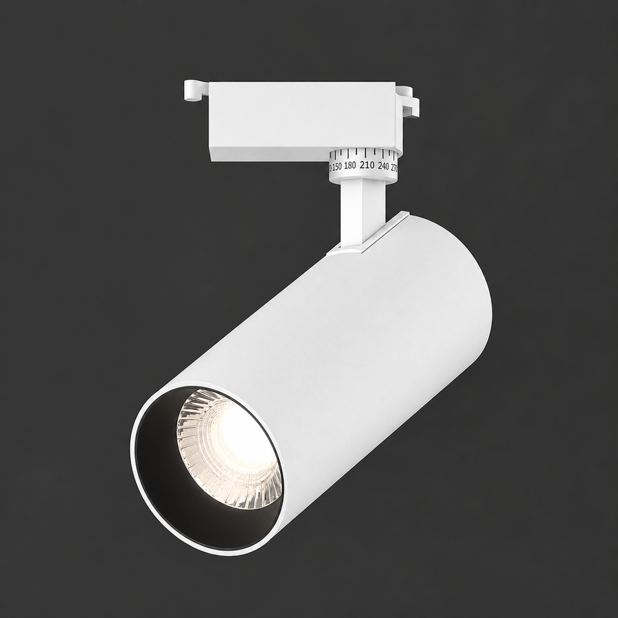 Proiector LED Sina, Lumina Rece 6000K, 15.7x7cm, Putere 19W, Metal, Alb