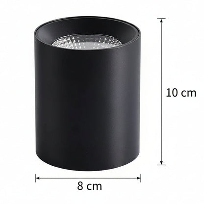 Proiector LED TINNIE, Fix, 8W, Lumina Neutra 4000K, Negru