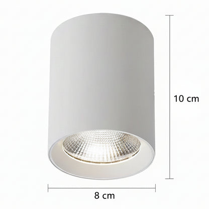 Proiector LED TINNIE, Fix, 8W, Lumina Neutra 4000K, Alb