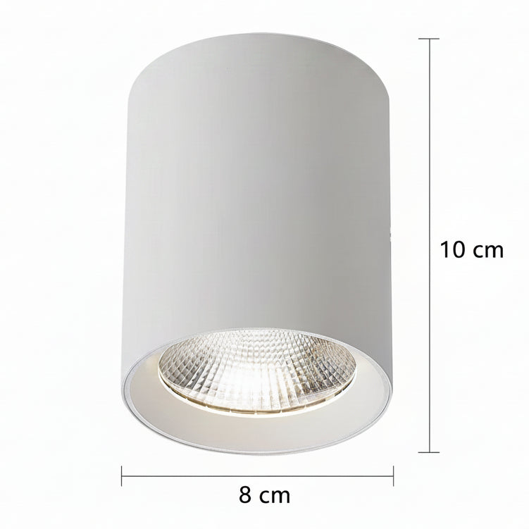 Proiector LED TINNIE, Fix, 8W, Lumina Neutra 4000K, Alb