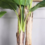 Planta Artificiala Banan japonez, 3 Crengi, fara Ghiveci 190cm Verde Plante Artificiale Interioare Default Title Alessandro Design