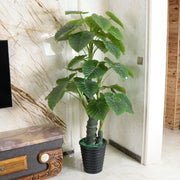 Planta Artificiala Alocasia odora, fara Ghiveci, 150cm Verde Plante Artificiale Interioare Default Title Alessandro Design