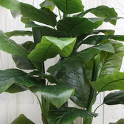Planta Artificiala Banan japonez, 4 Crengi, fara Ghiveci 180cm Verde Default Title Alessandro Design